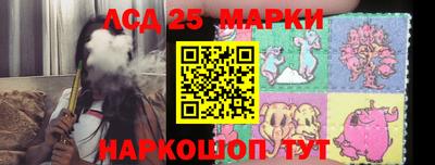 крисы Берёзовский