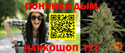 крисы Берёзовский