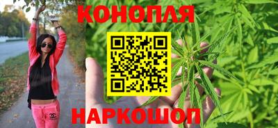 стафф Бийск