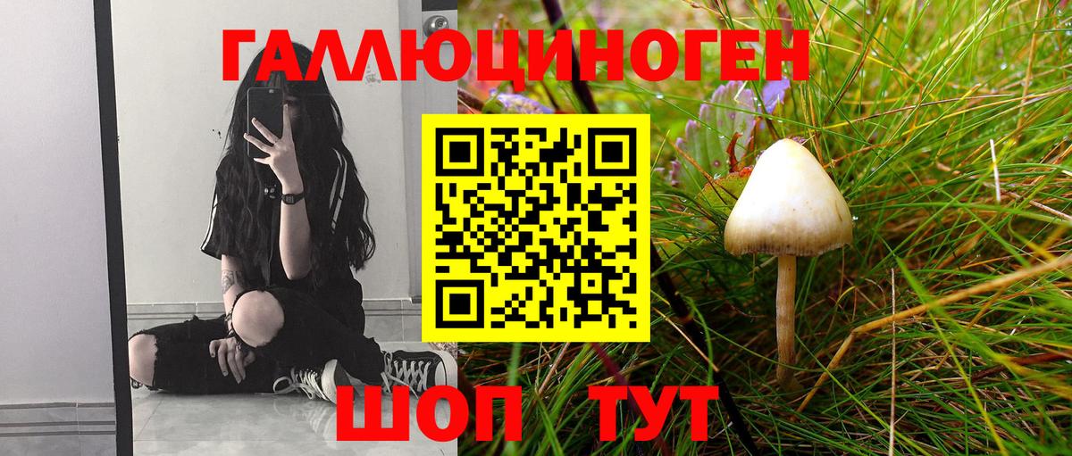 Галлюциногенные грибы Cubensis  Вход с VPN  Псилоцибиновые грибы ЛСД  Кимовск 
